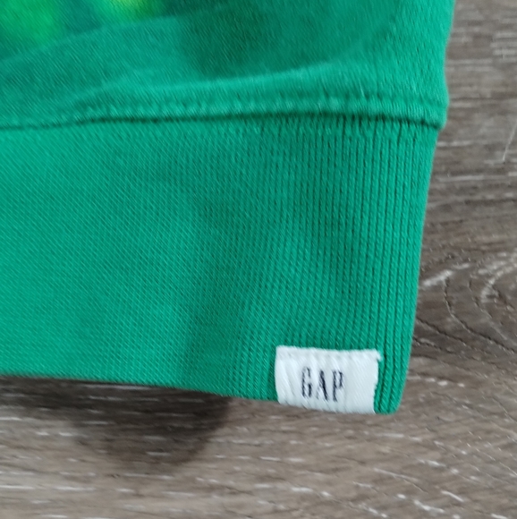 •BABY GAP BOYS GREEN DINOSAUR FOSSIL GRAPHIC HOODIE SWEATSHIRT Toddler 4 Year - Picture 8 of 9